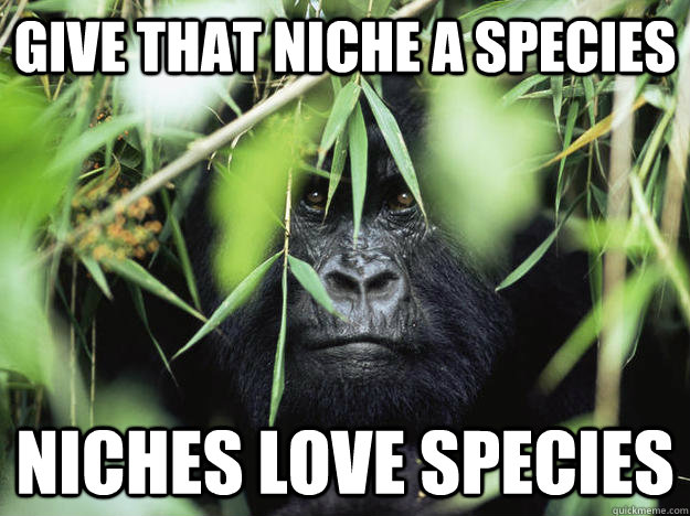 Give that niche a species Niches love species - Give that niche a species Niches love species  Misc