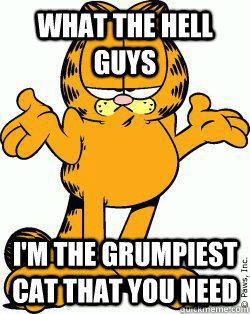 What the hell guys I'm the grumpiest cat that you need   Garfield