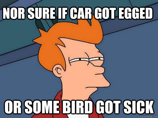 Nor sure if car got egged Or some bird got sick  Futurama Fry