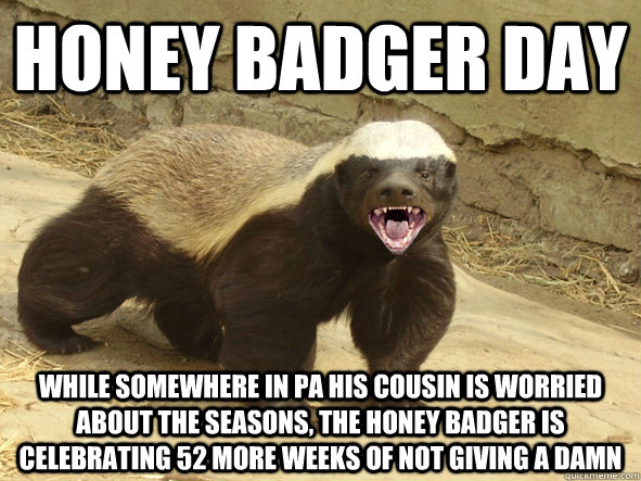 Honey Badger Day While somewhere in PA his cousin is worried about the seasons, the honey badger is celebrating 52 more weeks of not giving a damn  