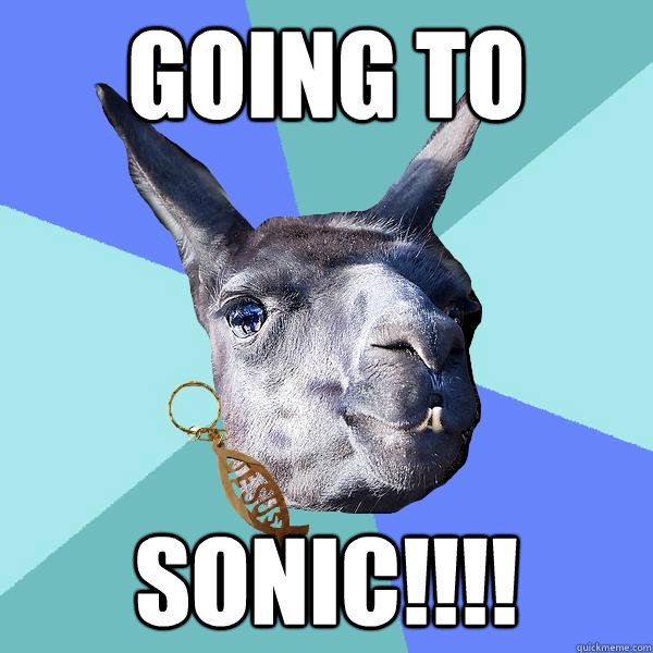 going to  sonic!!!! - going to  sonic!!!!  Christian Mama Llama