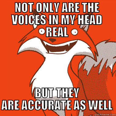 NOT ONLY ARE THE VOICES IN MY HEAD REAL BUT THEY ARE ACCURATE AS WELL Misc