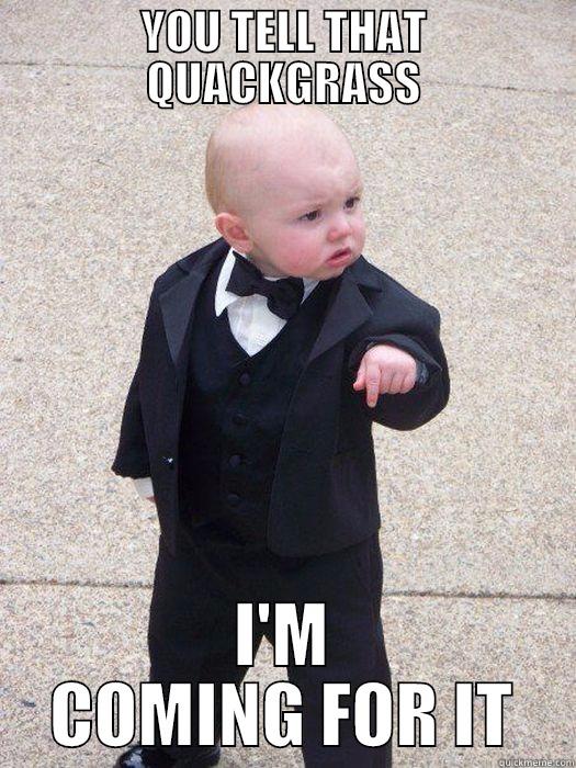 YOU TELL THAT QUACKGRASS I'M COMING FOR IT Baby Godfather