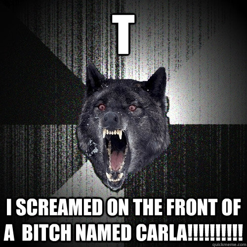 t i screamed on the front of a  bitch named carla!!!!!!!!!!  Insanity Wolf