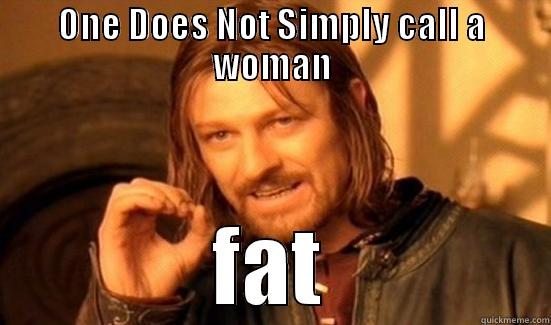 ONE DOES NOT SIMPLY CALL A WOMAN FAT Boromir