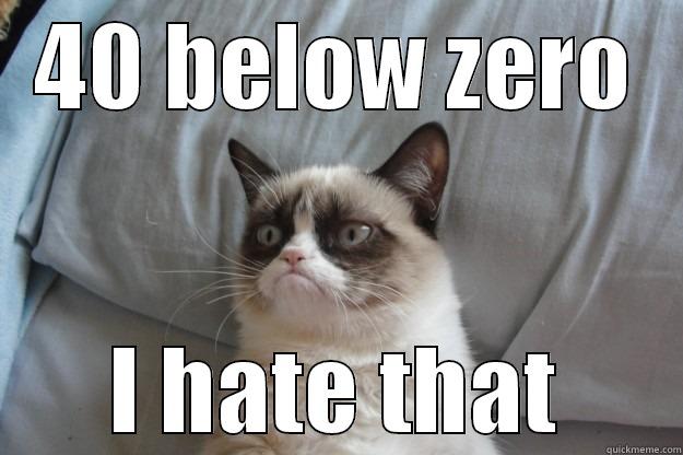 40 BELOW ZERO I HATE THAT Grumpy Cat
