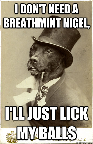 I don't need a breathmint Nigel, I'll just lick my balls - I don't need a breathmint Nigel, I'll just lick my balls  Old Money Dog