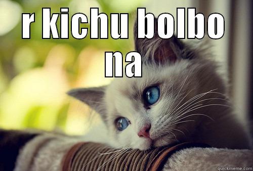 R KICHU BOLBO NA  First World Problems Cat