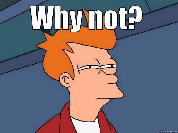 WHY NOT?  Futurama Fry