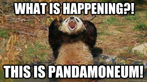 What is happening?! This is pandamoneum!  