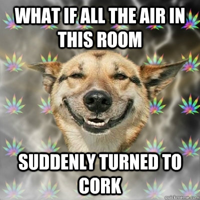 What if all the air in this room suddenly turned to cork  Stoner Dog