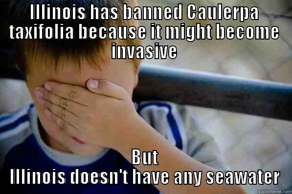 caulerpa funny - ILLINOIS HAS BANNED CAULERPA TAXIFOLIA BECAUSE IT MIGHT BECOME INVASIVE BUT ILLINOIS DOESN'T HAVE ANY SEAWATER Confession kid