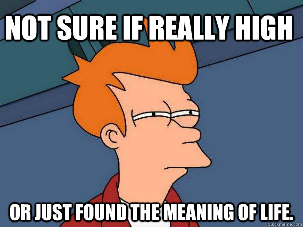 Not sure if really high Or just found the meaning of life.  Futurama Fry
