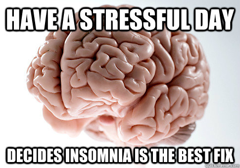 Have a stressful day decides insomnia is the best fix - Have a stressful day decides insomnia is the best fix  Scumbag Brain