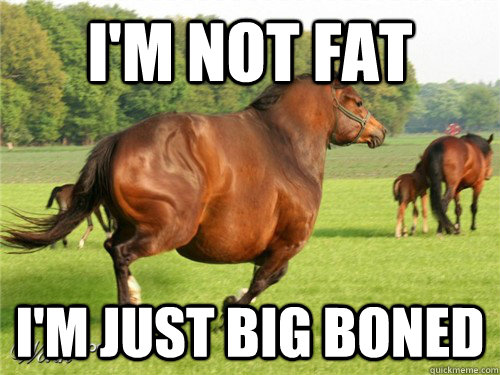 I'm not fat I'm just big boned - I'm not fat I'm just big boned  Big Boned Billie