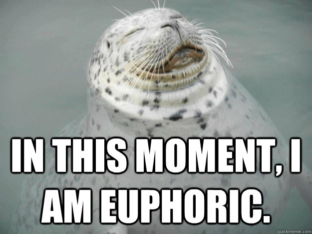 In this moment, I am euphoric.  Zen Seal