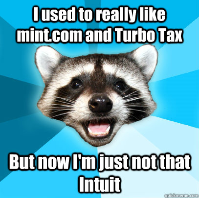 I used to really like mint.com and Turbo Tax But now I'm just not that Intuit   Lame Pun Coon