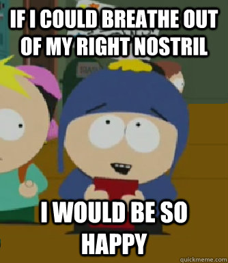 if i could breathe out of my right nostril i would be so happy - if i could breathe out of my right nostril i would be so happy  Craig - I would be so happy