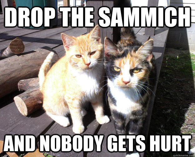 Drop the Sammich and nobody gets hurt - Drop the Sammich and nobody gets hurt  Bully Cats