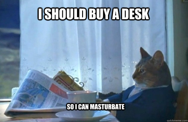 I should buy a desk So I can masturbate  Sophisticated Cat