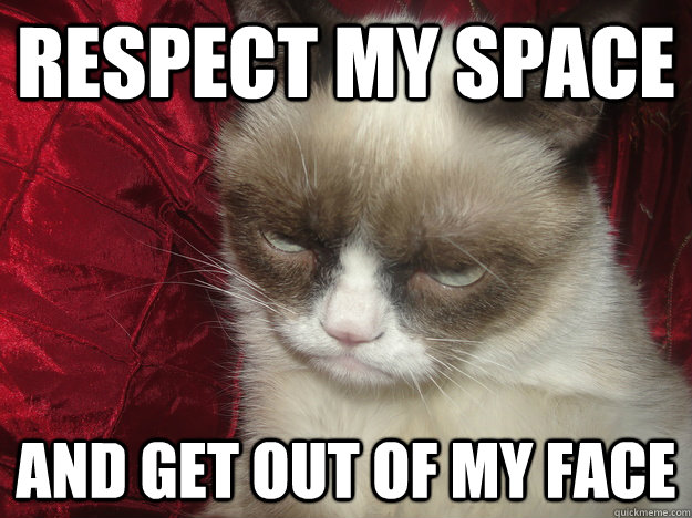 respect my space and get out of my face - respect my space and get out of my face  Are You Kidding Grumpy Cat