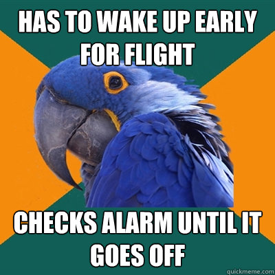 Has to wake up early for flight checks alarm until it goes off  Paranoid Parrot