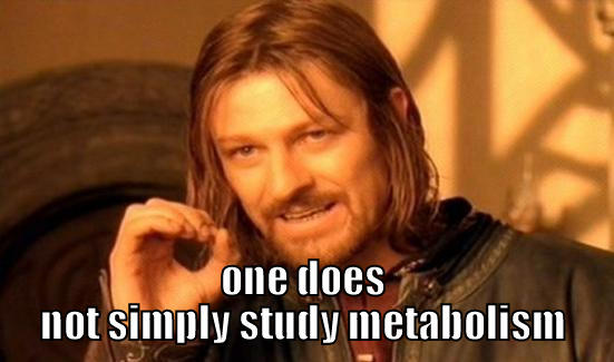  ONE DOES NOT SIMPLY STUDY METABOLISM Boromir