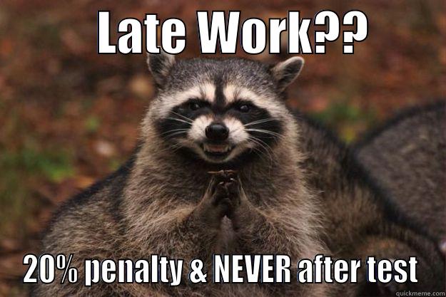           LATE WORK??         20% PENALTY & NEVER AFTER TEST Evil Plotting Raccoon