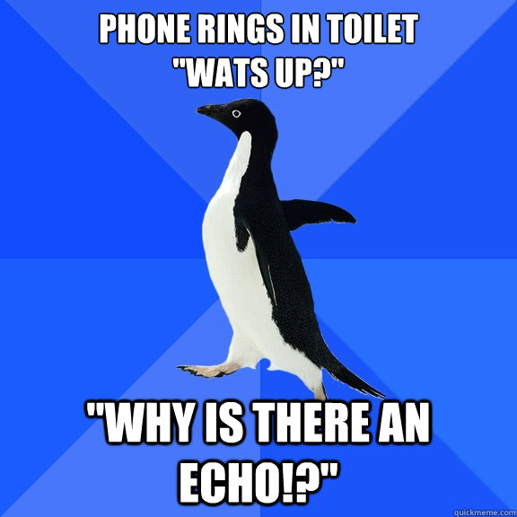 Phone rings in toilet
