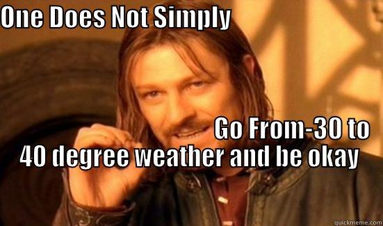 ONE DOES NOT SIMPLY                                                                                                                                                                                                                                              Boromir