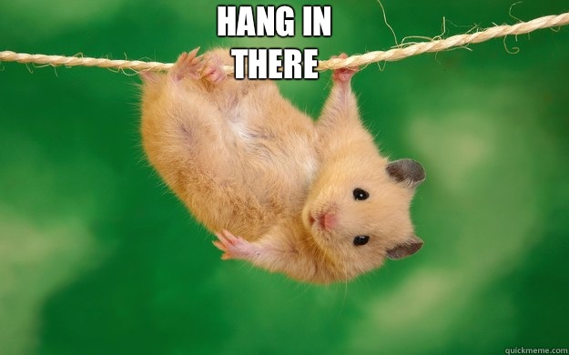 hang in there  - hang in there   Misc