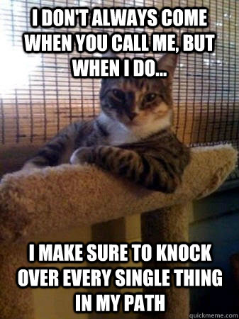 I don't always come when you call me, but when I do... I make sure to knock over every single thing in my path  The Most Interesting Cat in the World