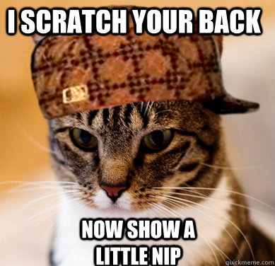 I scratch your back now show a little nip  Scumbag Cat
