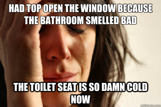 had top open the window because the bathroom smelled bad the toilet seat is so damn cold now  First World Problems