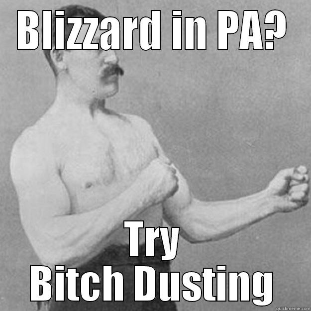 BLIZZARD IN PA? TRY BITCH DUSTING overly manly man