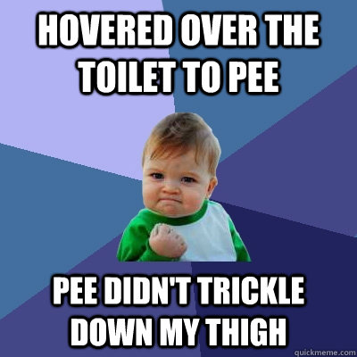 Hovered over the toilet to pee Pee didn't trickle down my thigh - Hovered over the toilet to pee Pee didn't trickle down my thigh  Success Kid