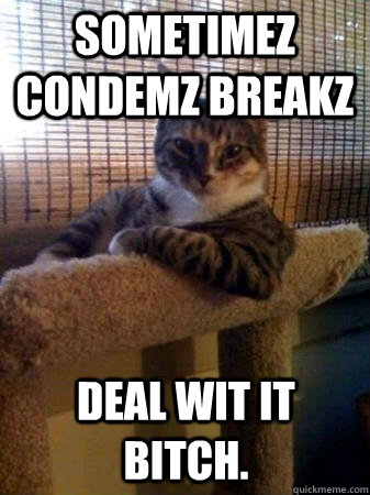 Sometimez condemz breakz Deal wit it bitch.  The Most Interesting Cat in the World