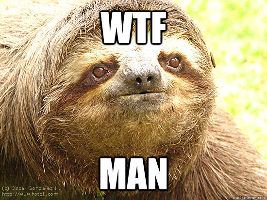 wtf man - wtf man  WTF Sloth