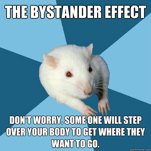 The Bystander Effect Don't worry. Some one will step over your body to get where they want to go.  Psychology Major Rat
