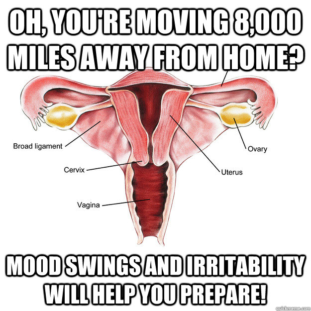 Oh, you're moving 8,000 miles away from home? Mood swings and irritability will help you prepare!  Scumbag Uterus