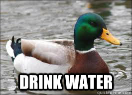  Drink Water  Good Advice Duck
