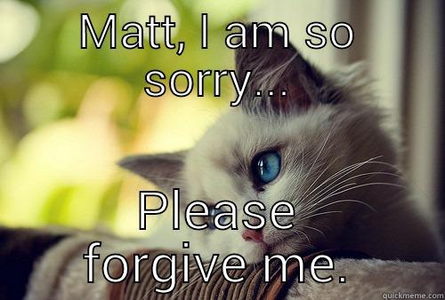 MATT, I AM SO SORRY... PLEASE FORGIVE ME. First World Problems Cat