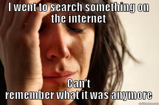 I WENT TO SEARCH SOMETHING ON THE INTERNET CAN'T REMEMBER WHAT IT WAS ANYMORE First World Problems