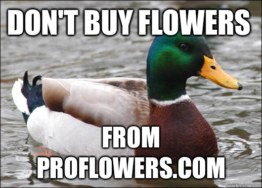 Don't buy flowers From proflowers.com - Don't buy flowers From proflowers.com  Actual Advice Mallard