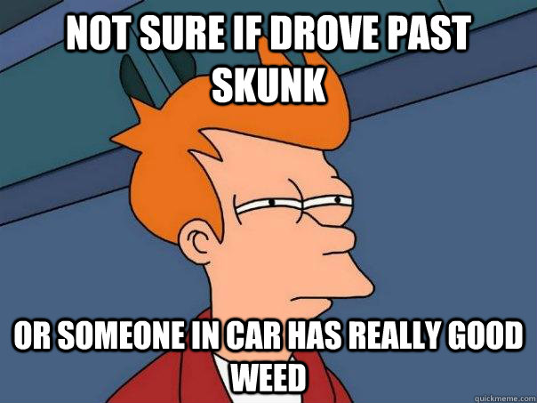 Not sure if drove past skunk or someone in car has really good weed   Futurama Fry