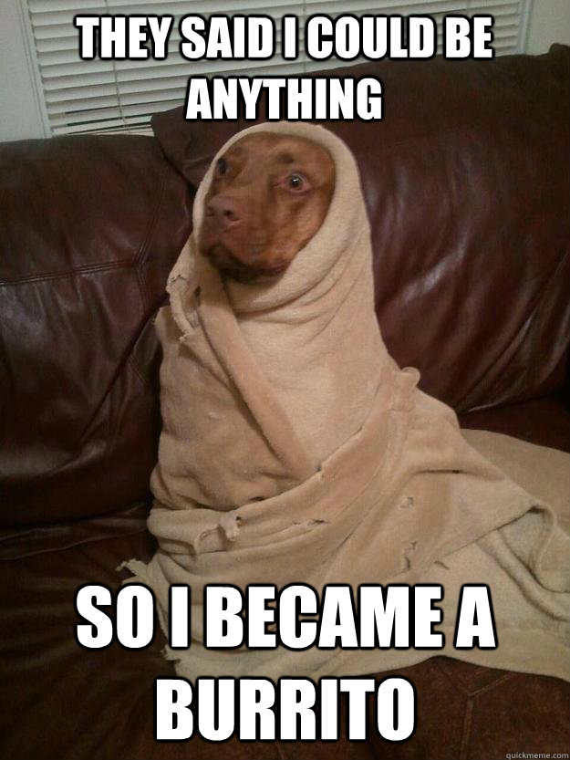 They Said I Could Be Anything So I became a burrito - They Said I Could Be Anything So I became a burrito  Burrito Dog