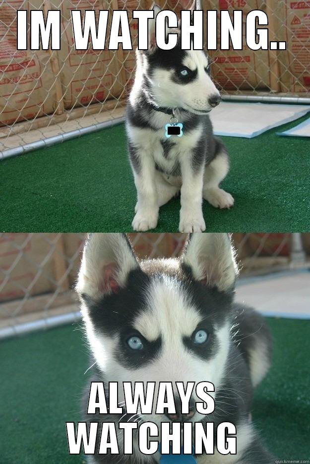im watching..always watching - IM WATCHING.. ALWAYS WATCHING Insanity puppy