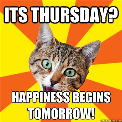 its thursday? happiness begins tomorrow! - its thursday? happiness begins tomorrow!  Bad Advice Cat