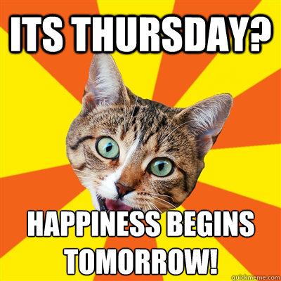 its thursday? happiness begins tomorrow!  Bad Advice Cat