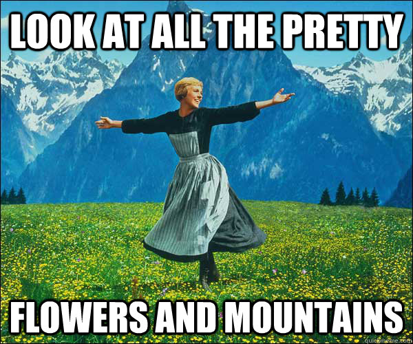look at all the pretty flowers and mountains  Look At All The Fucks I Give